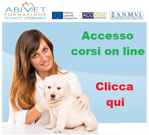 Accesso corsi on line